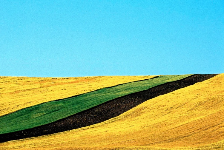 Franco Fontana